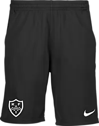 323389101101 NIKE Park20 Short 323389101101 NIKE Park20 Short Standard Small1x1