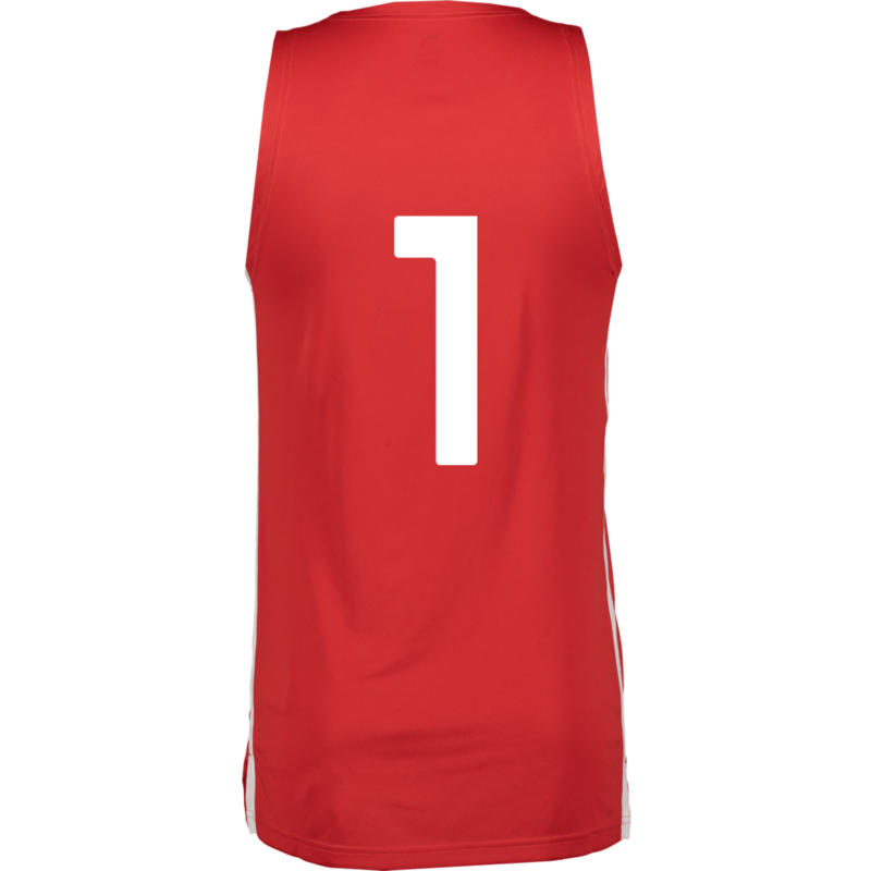 PUMA, TEAMJAWS STARTER JERSEY JR