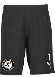 391942103101 PUMA T Goal Shorts 391942103101 PUMA T Goal Shorts Standard Small1x1