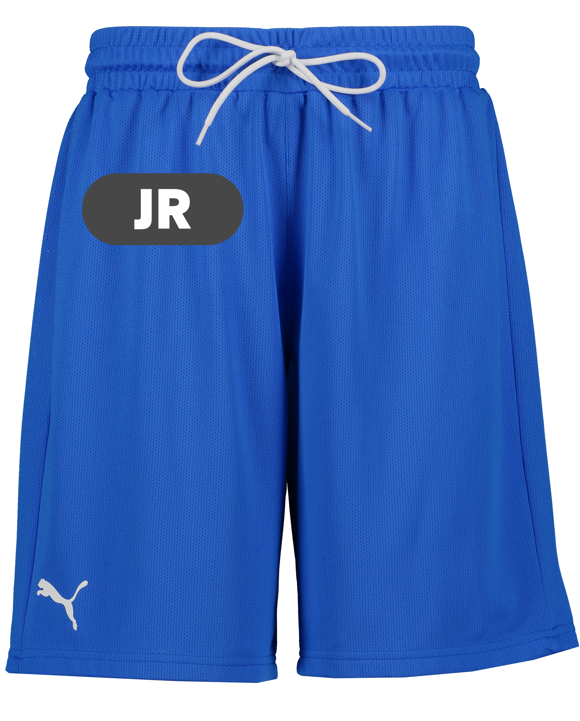 
PUMA, 
Hoops Team Junior Practice Short, 
Detail 1
