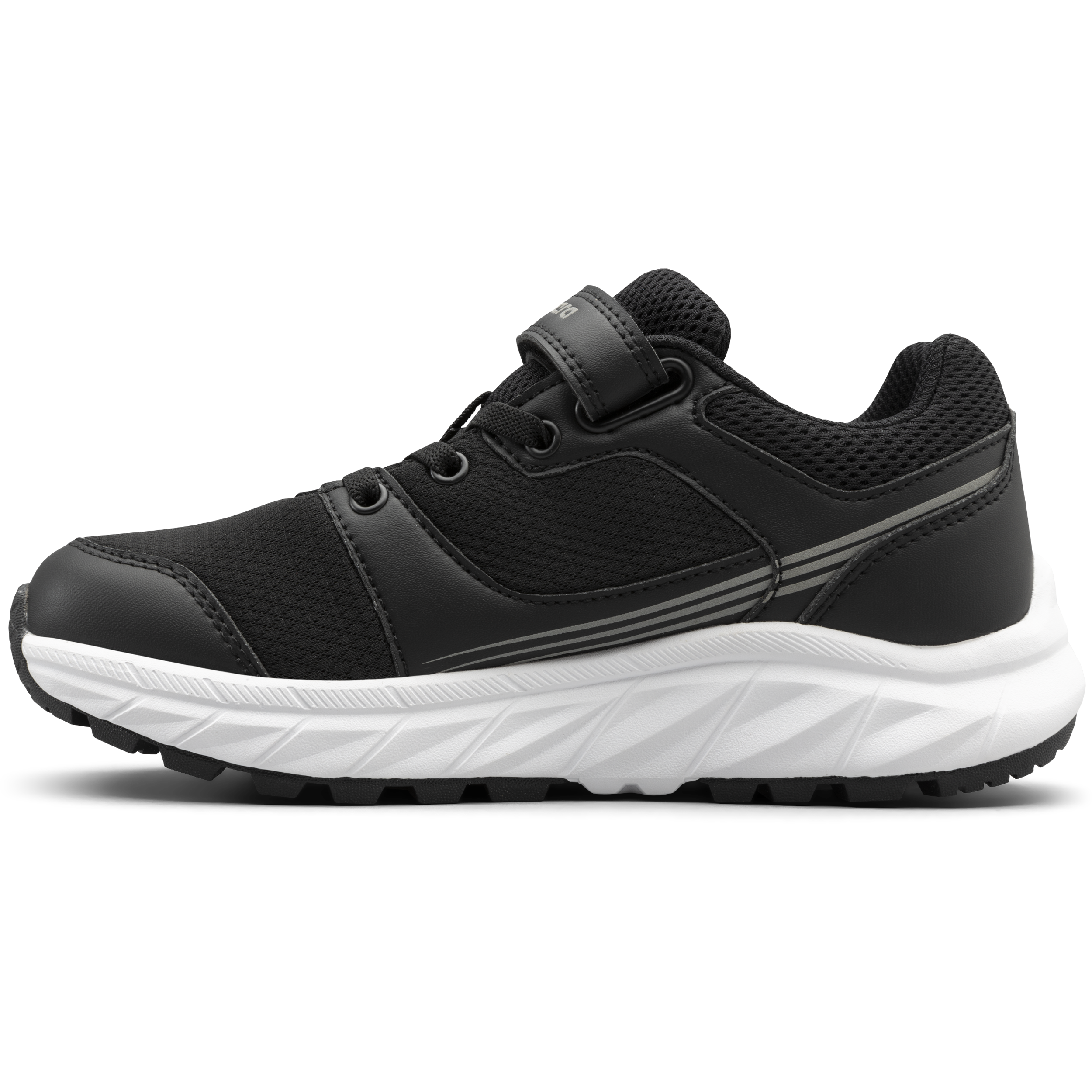 BAGHEERA, Alpha Snk Jr