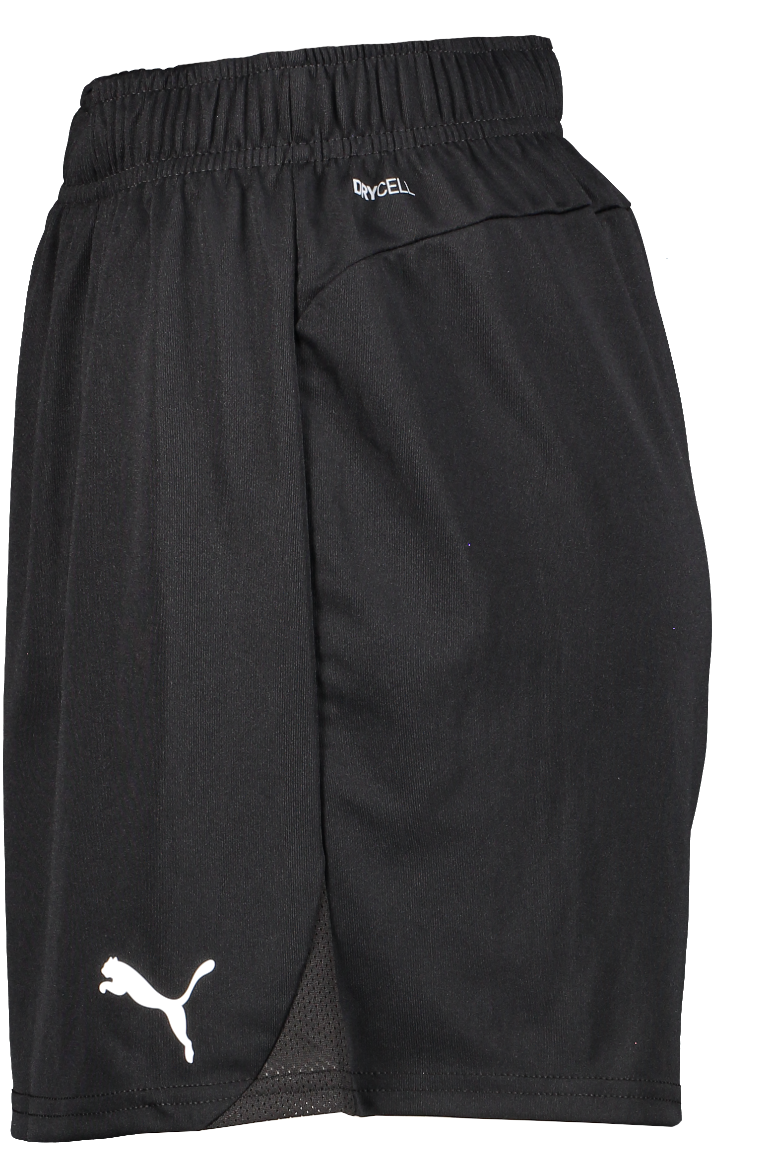 PUMA, T Goal Shorts Wmns