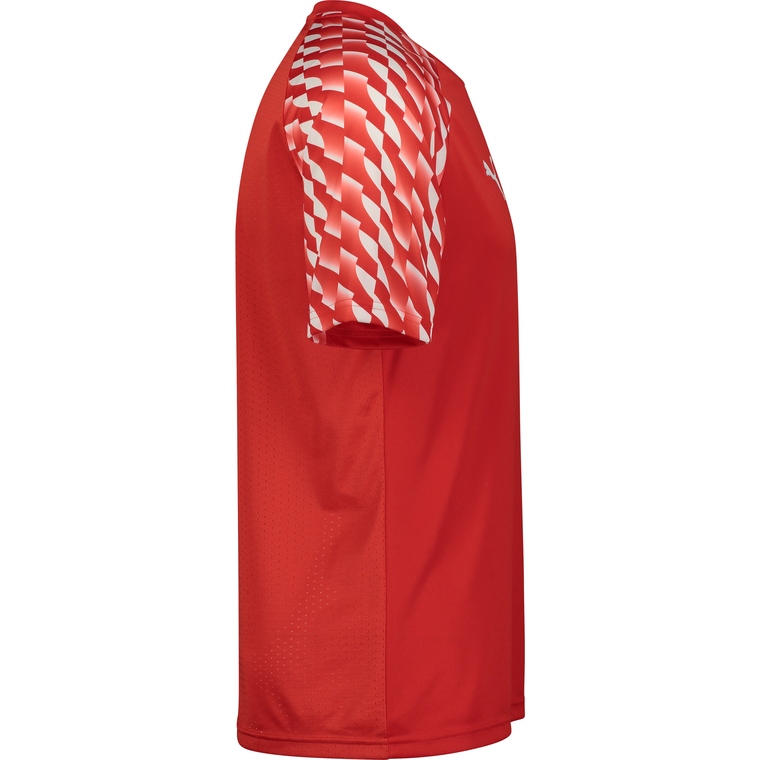 PUMA, TEAMLIGA26 JERSEY