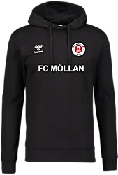 393934101101 HUMMEL Go 2.0 Hoodie 393934101101 HUMMEL Go 2.0 Hoodie Standard Small1x1