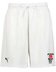 391387102101 PUMA Hoops Team Junior Practice Short 391387102101 PUMA Hoops Team Junior Practice Short Standard Small1x1