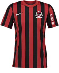 326366108101 NIKE Stripe Div Iv Jsy 326366108101 NIKE Stripe Div Iv Jsy Standard Small1x1