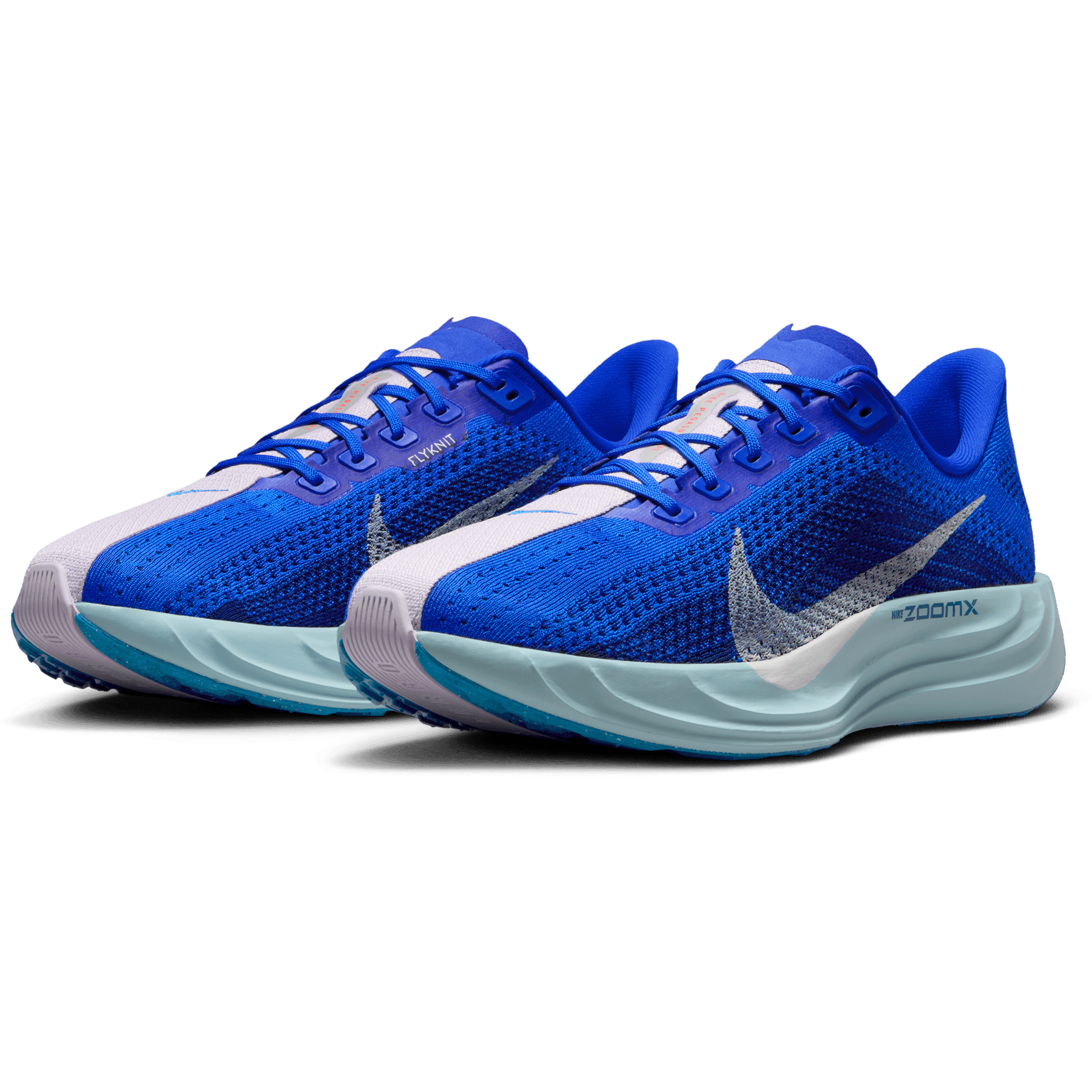 NIKE, M Pegasus Plus Prm