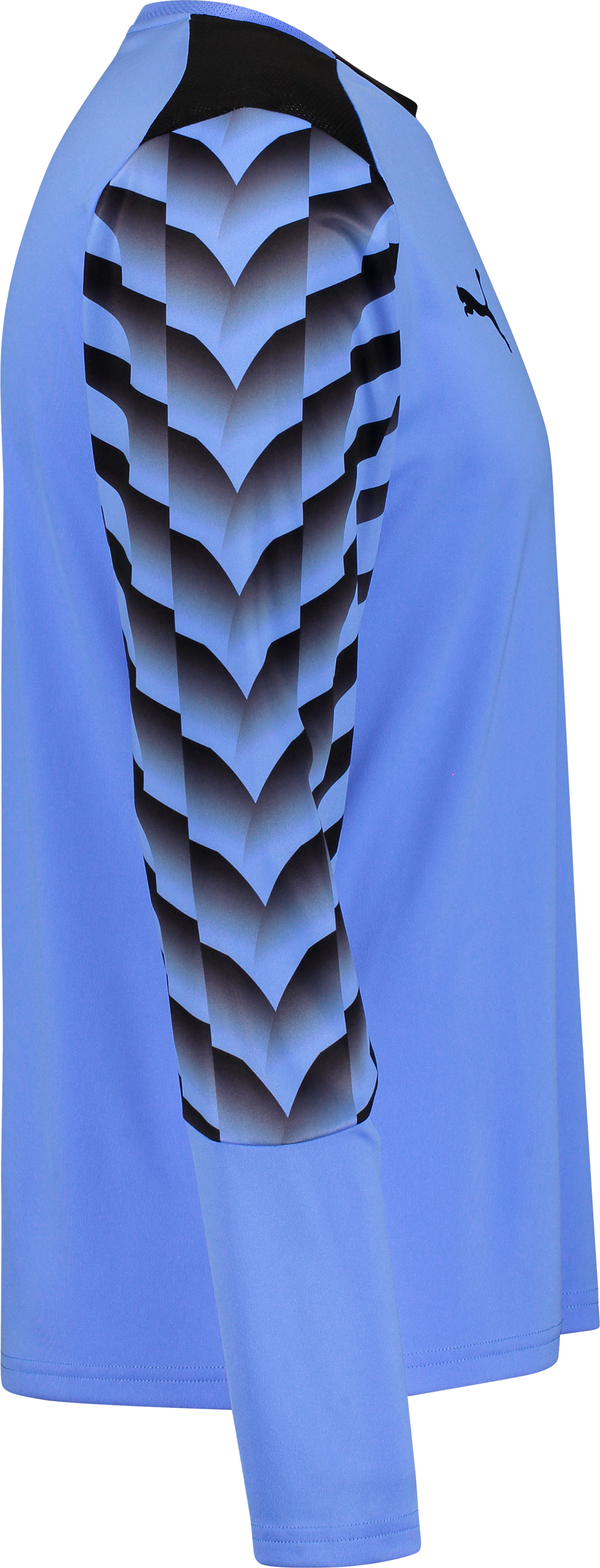 PUMA, TEAMLIGA26 GK JERSEY LS JR