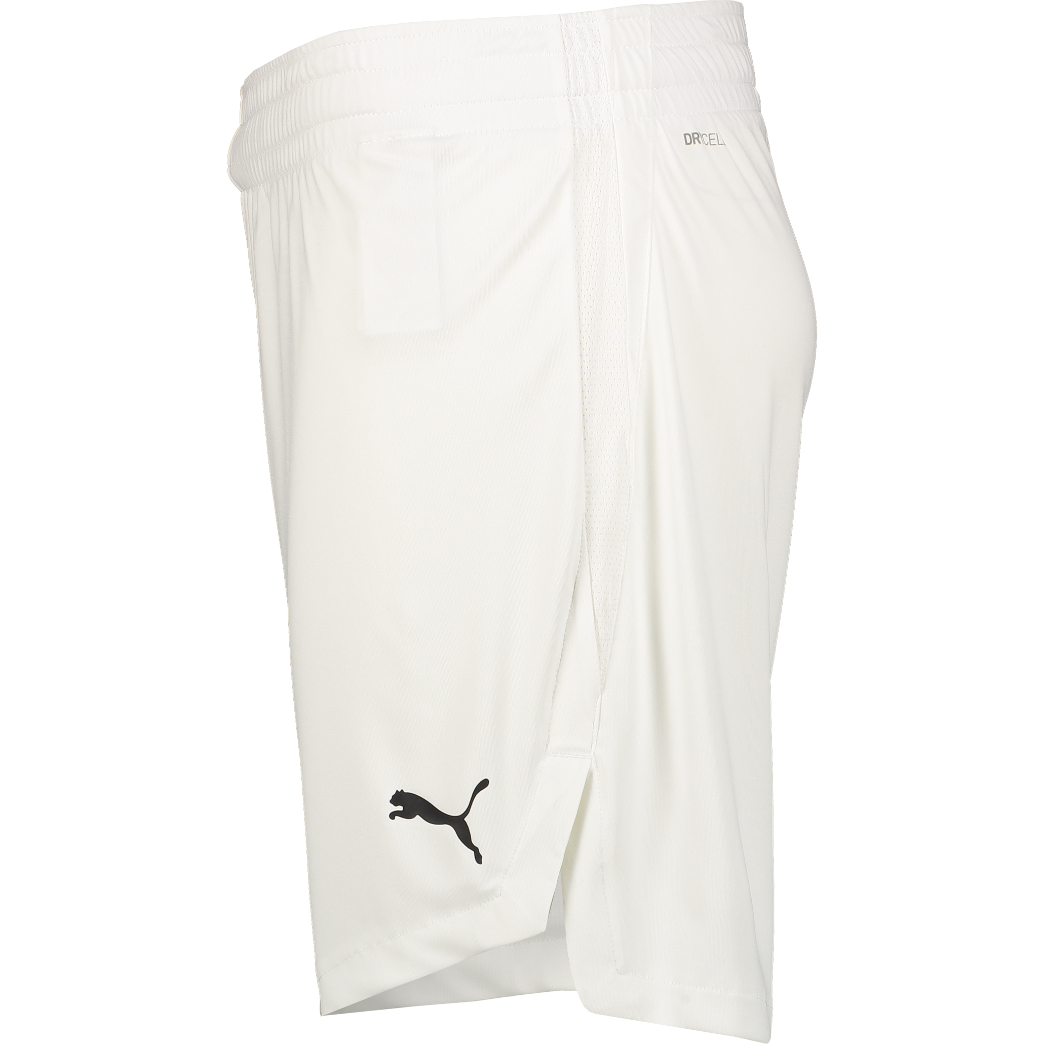 PUMA, TEAMJAWS STARTER SHORTS JR