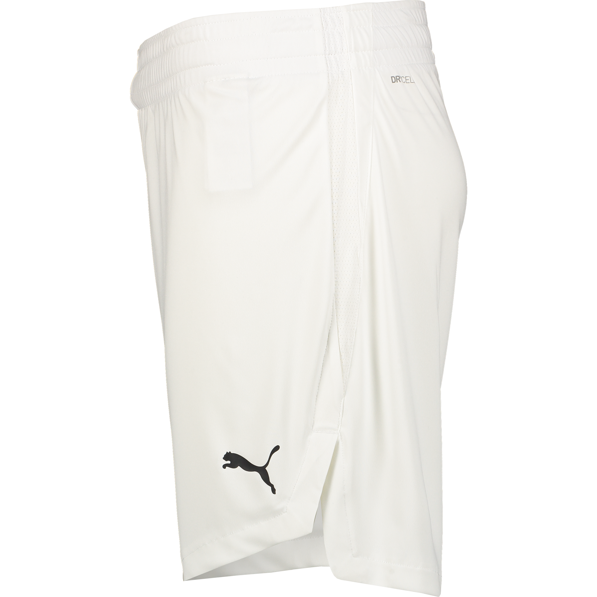 PUMA, TEAMJAWS STARTER SHORTS JR