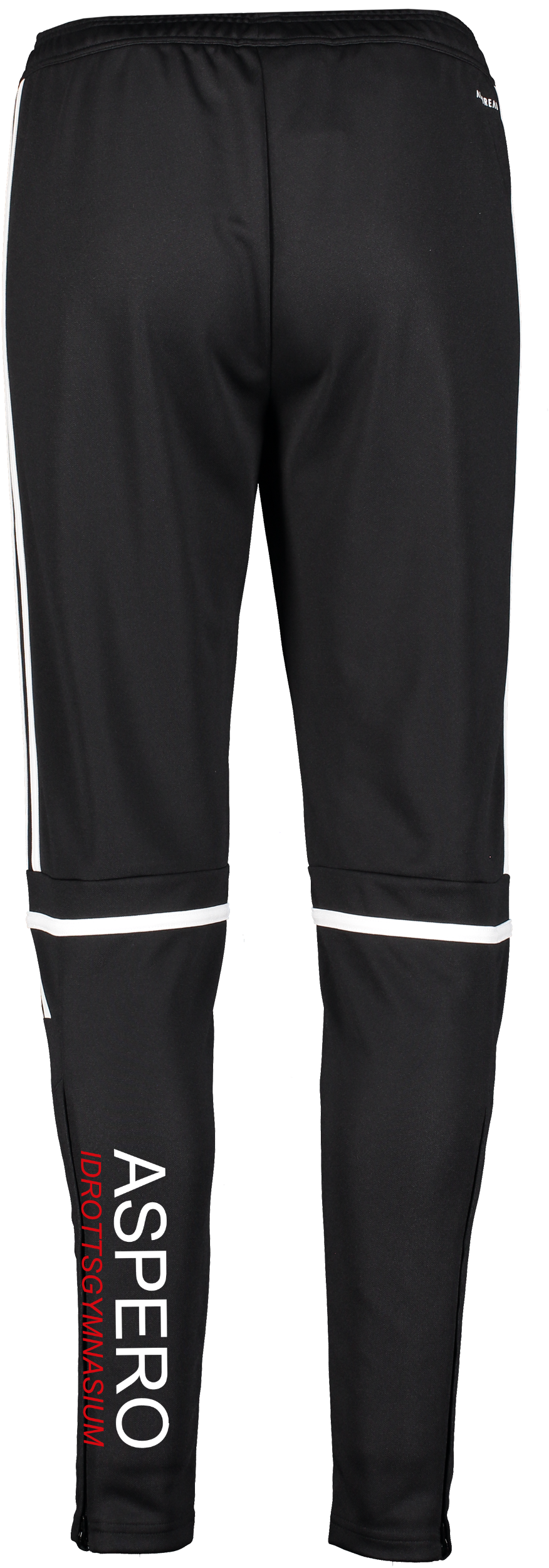 ADIDAS, Squad25 Tr Pnt W
