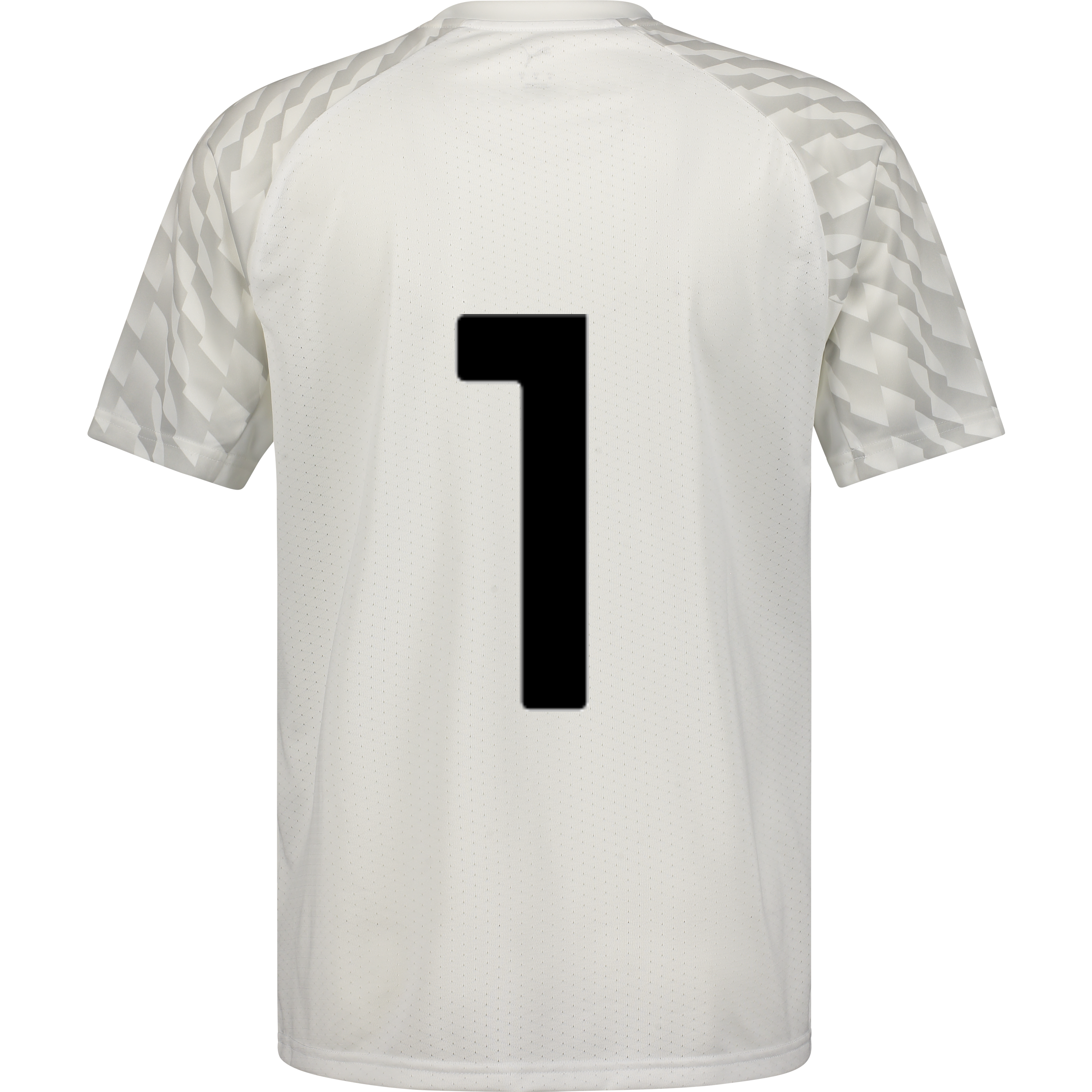 PUMA, TEAMLIGA26 JERSEY
