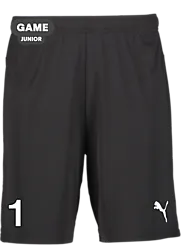 392286103101 PUMA T Goal Shorts Jr 392286103101 PUMA T Goal Shorts Jr Standard Small1x1