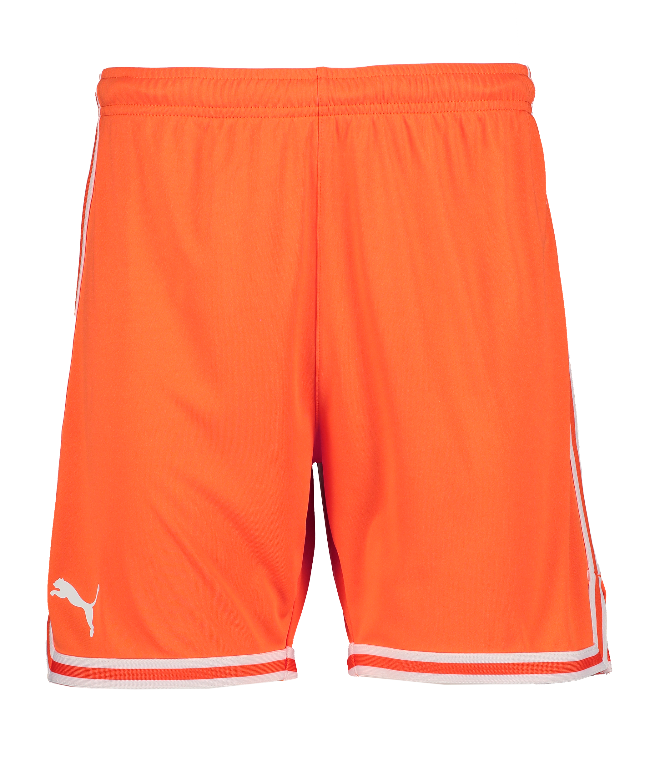 
PUMA, 
Hoops Team Game Short, 
Detail 1
