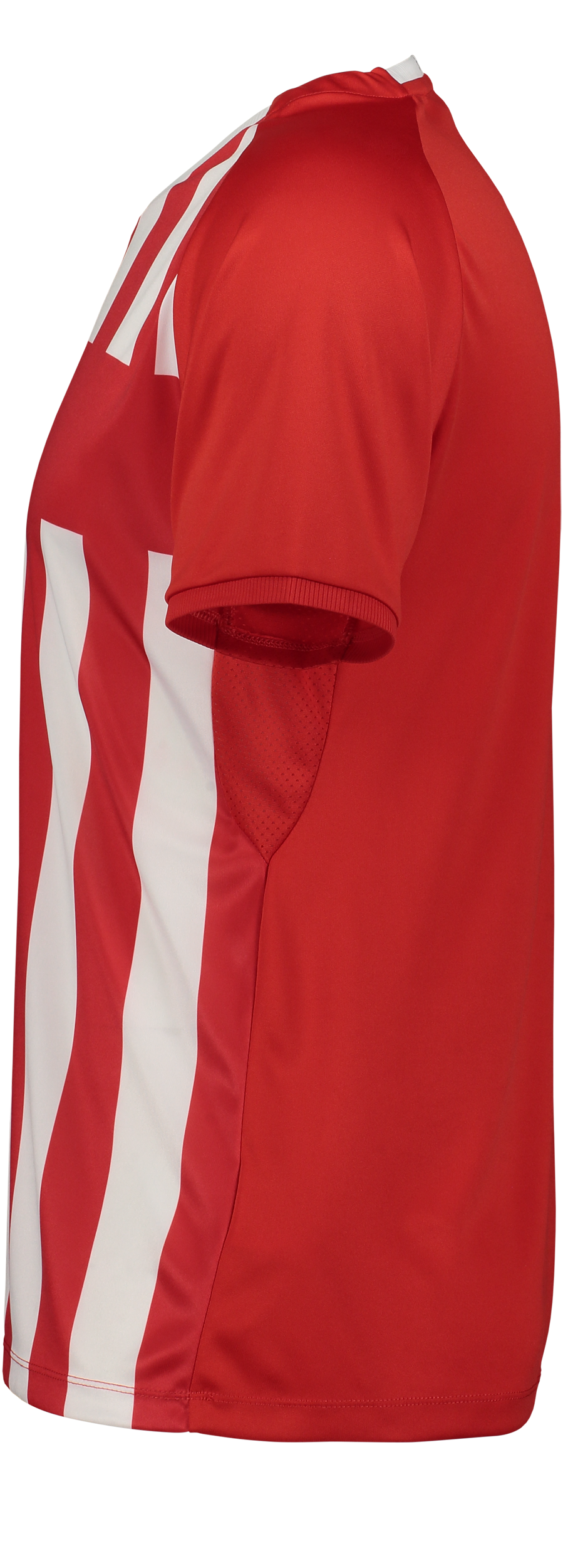 CRAFT, Progress 2.0 Str M