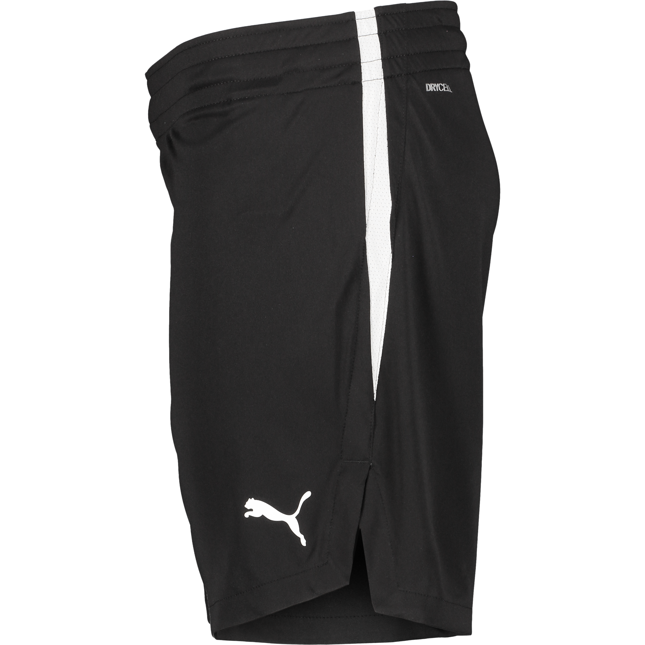 PUMA, TEAMJAWS STARTER SHORTS JR