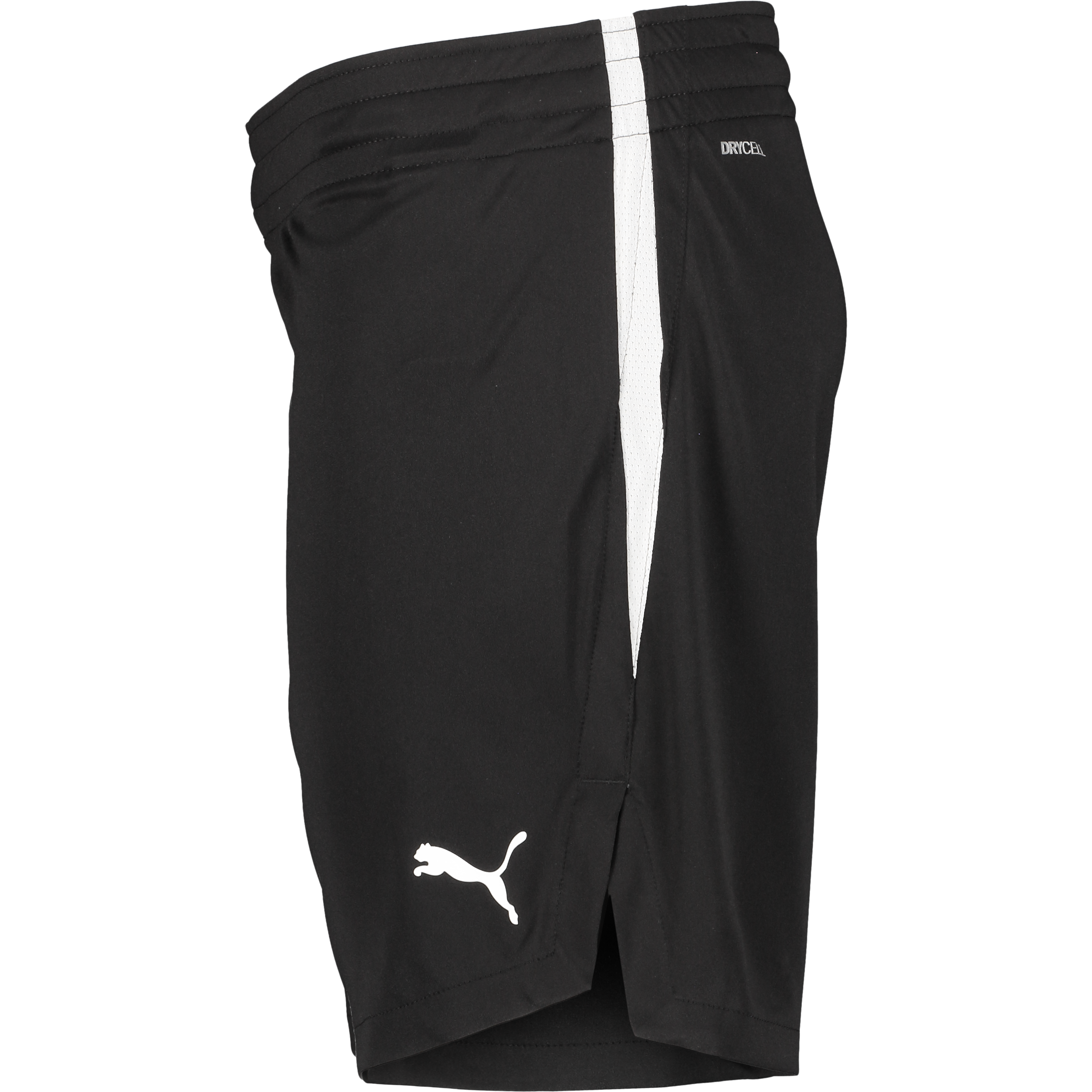 PUMA, TEAMJAWS STARTER SHORTS JR
