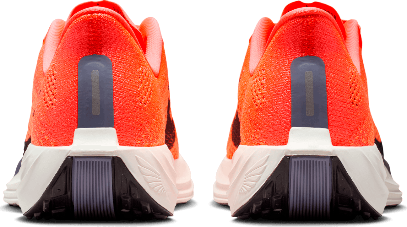 NIKE, W Pegasus Plus