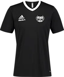 358910102101 ADIDAS Ent22 Jsy Tee Jr 358910102101 ADIDAS Ent22 Jsy Tee Jr Standard Small1x1