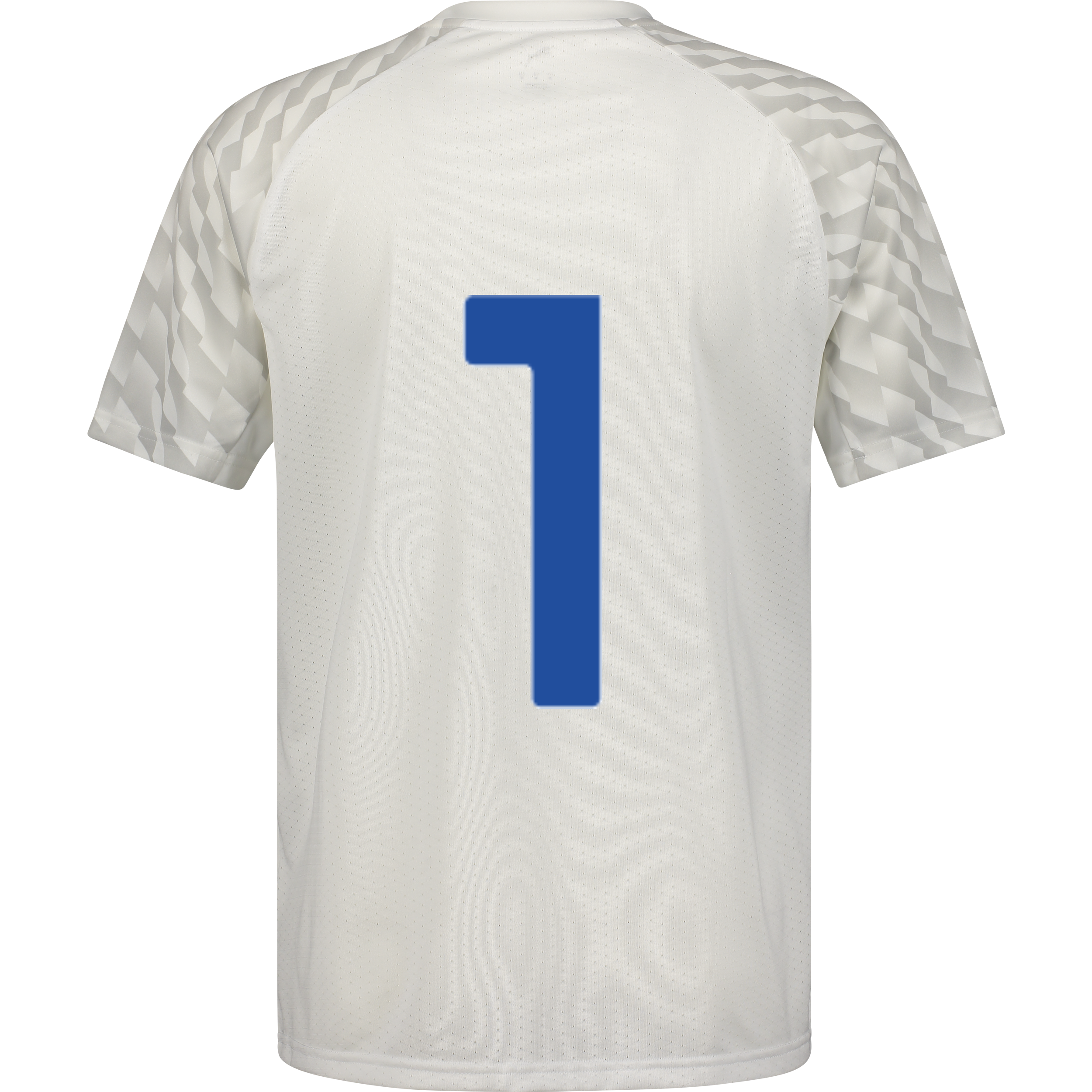 PUMA, TEAMLIGA26 JERSEY