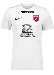 299007102101 NIKE Park VII SS Jsy 299007102101 NIKE Park VII SS Jsy Standard Small1x1