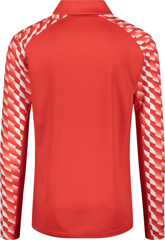 PUMA, TEAMLIGA26 TRAINING 1/4 ZIP TOP JR