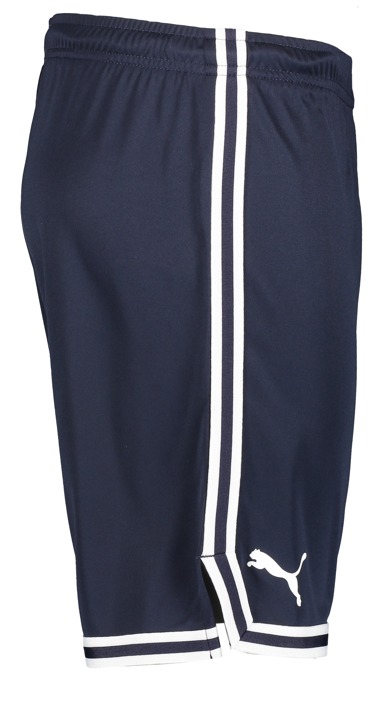 PUMA, Hoops Team Game Short