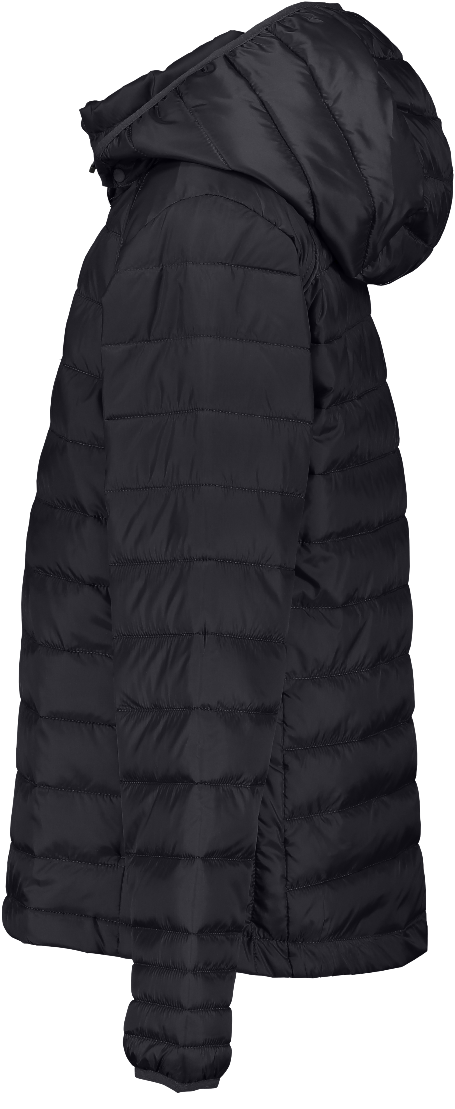 CLIQUE, Hudson Jkt Jr