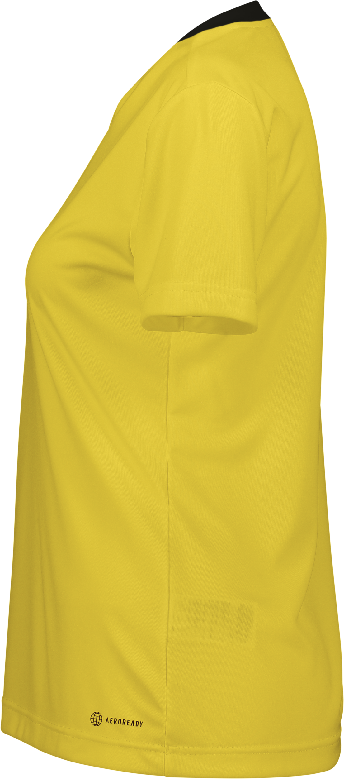 ADIDAS, Ent22 Jsy Tee W