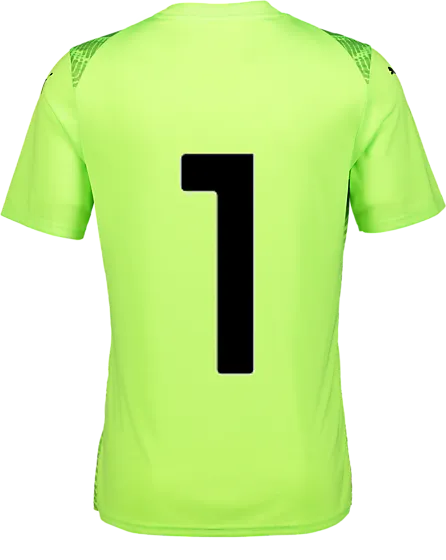 PUMA,
T Ultimate Jsy Jr,
Detail 2