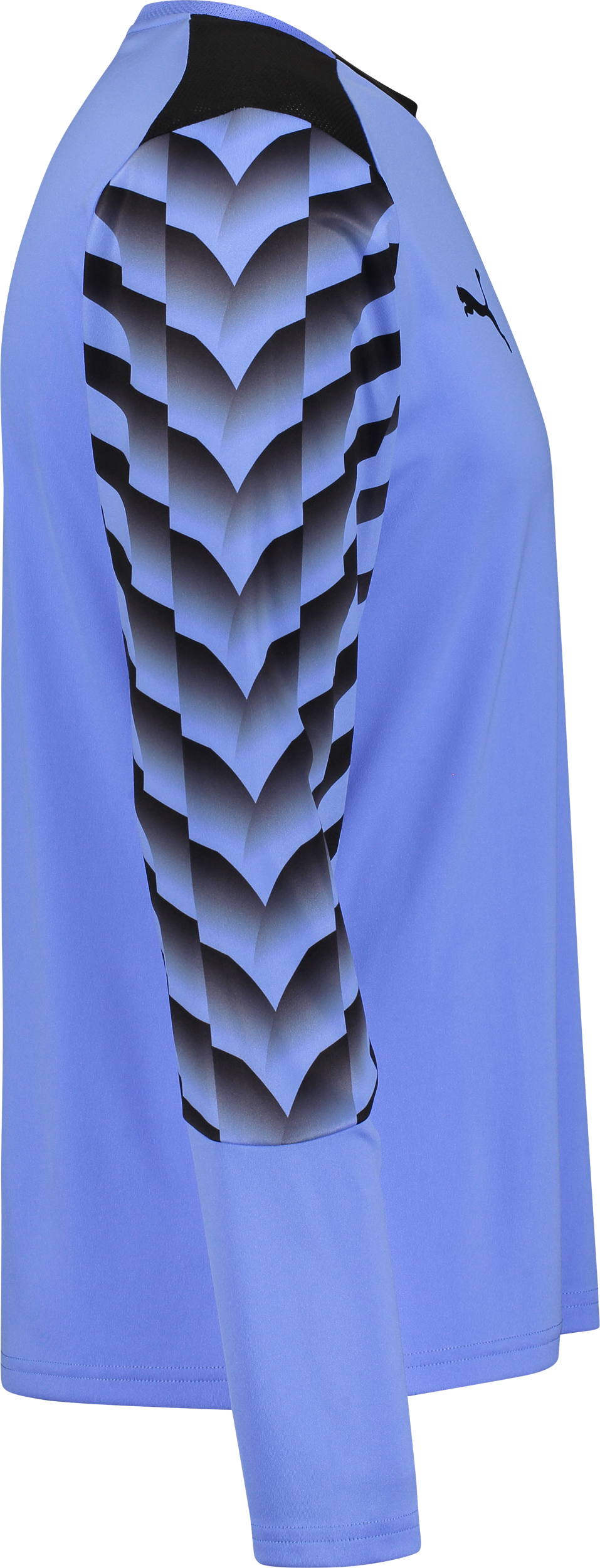 PUMA, TEAMLIGA26 GK JERSEY LS JR