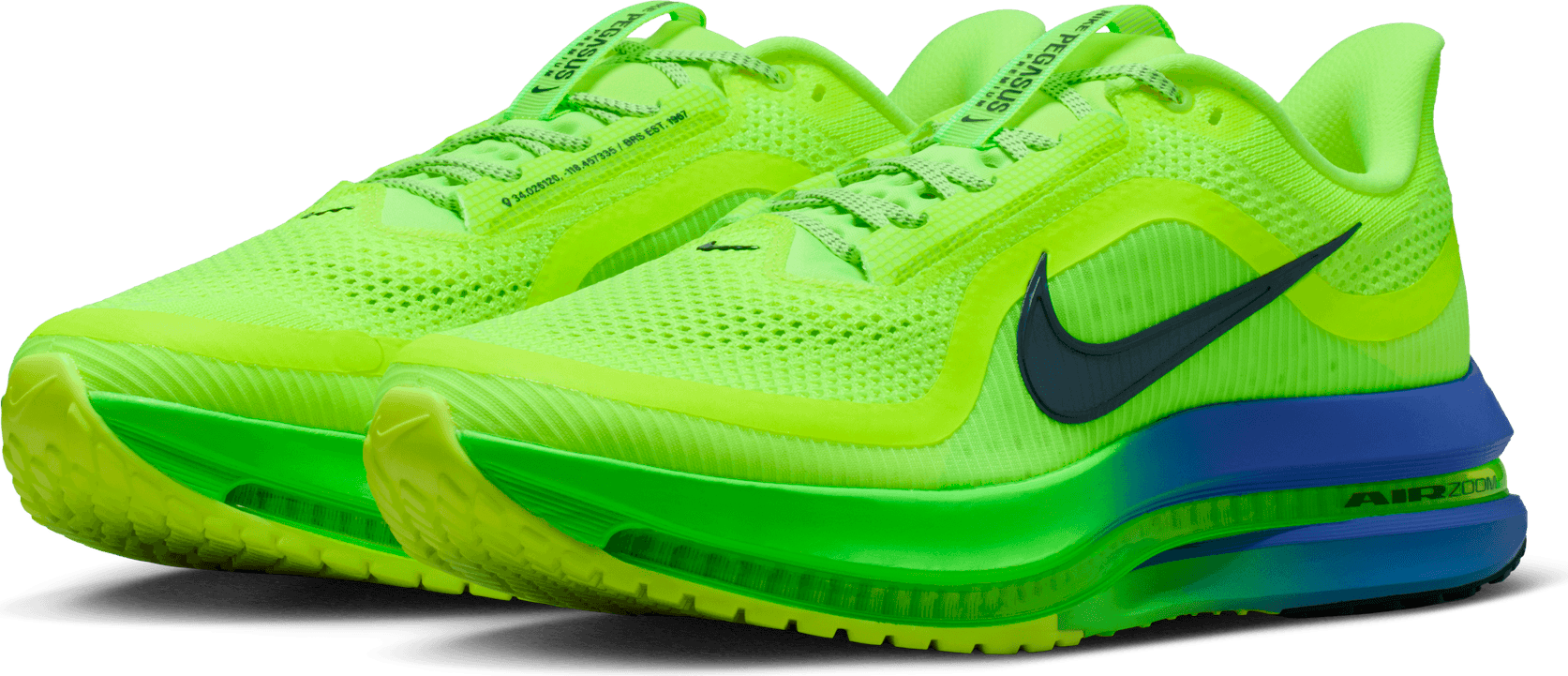 NIKE, M Pegasus Premium