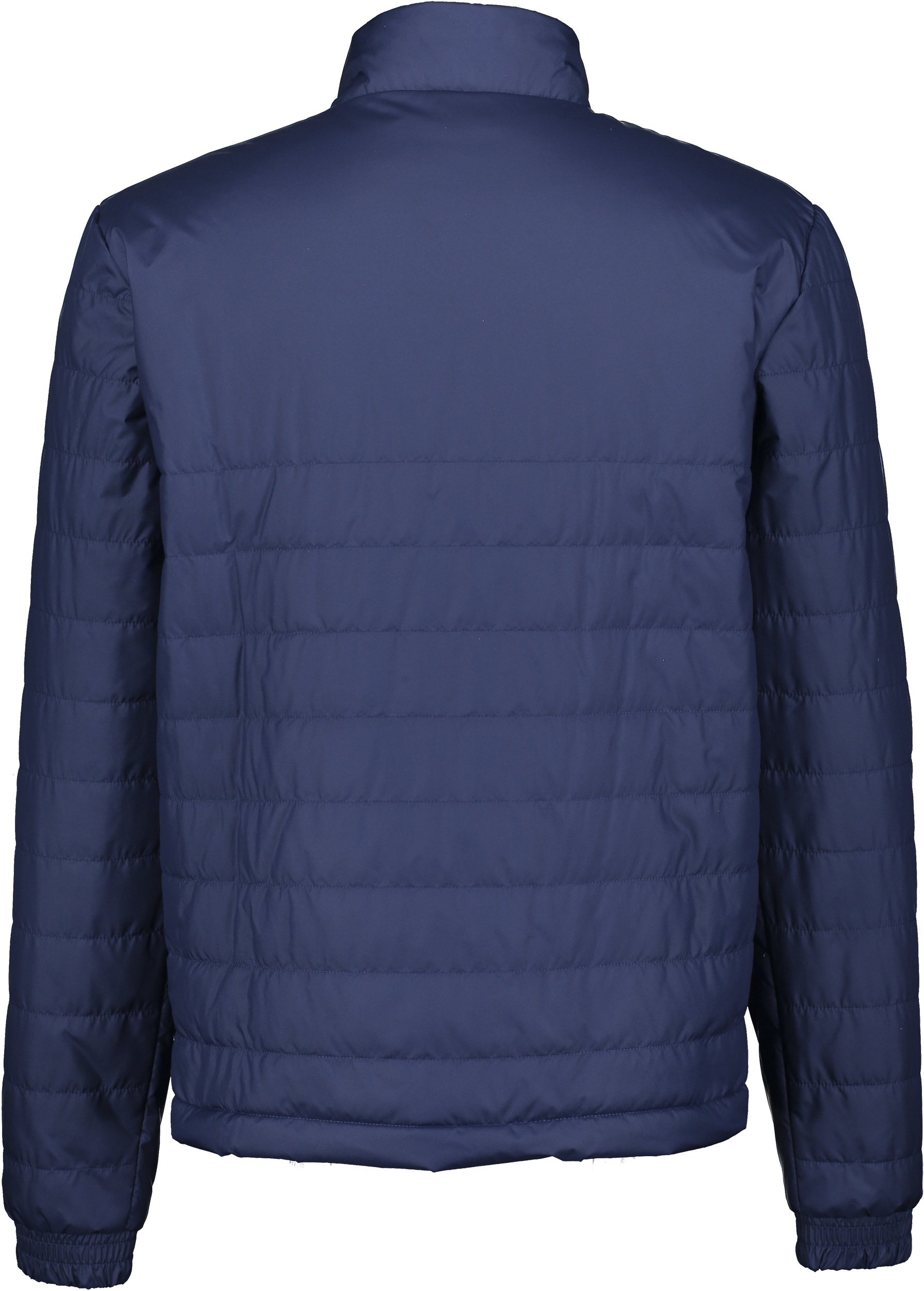 ADIDAS, Ent22 L Jkt Jr