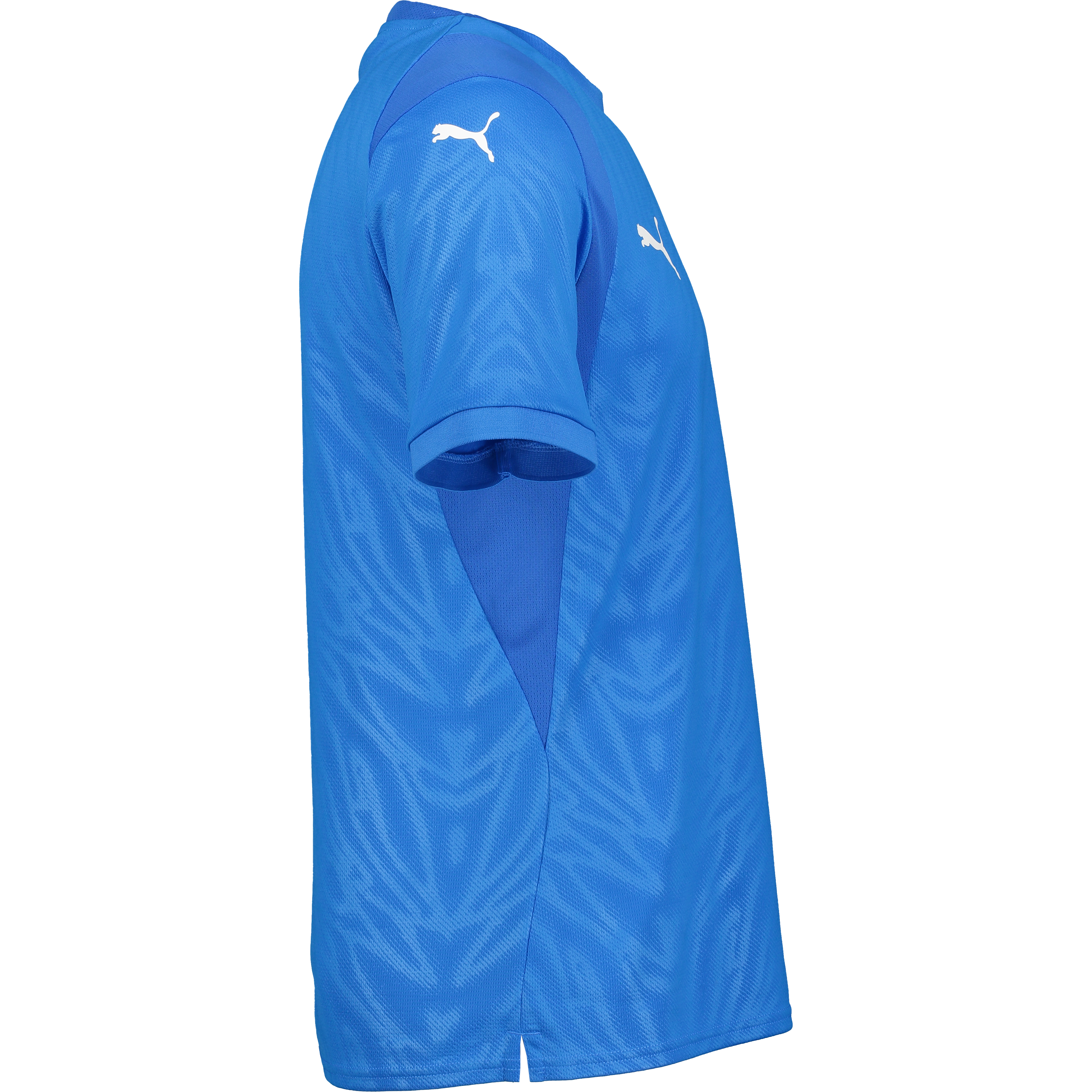 PUMA, Teamcup Jersey