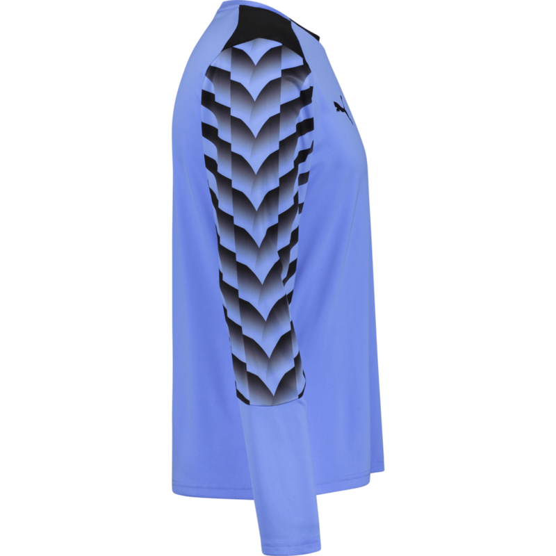 PUMA, TEAMLIGA26 GK JERSEY LS