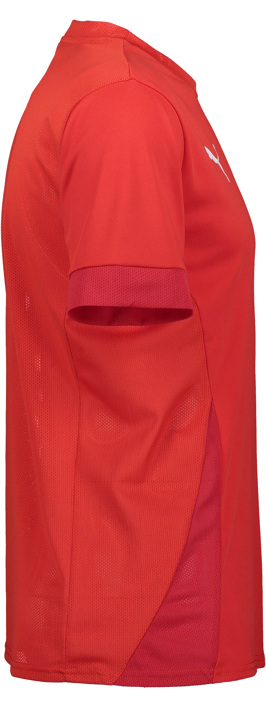 PUMA, T Goal Matchday Jsy Jr