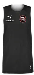 387569101101 PUMA Hoops Team Reverse Practice Jersey 387569101101 PUMA Hoops Team Reverse Practice Jersey Standard Small1x1