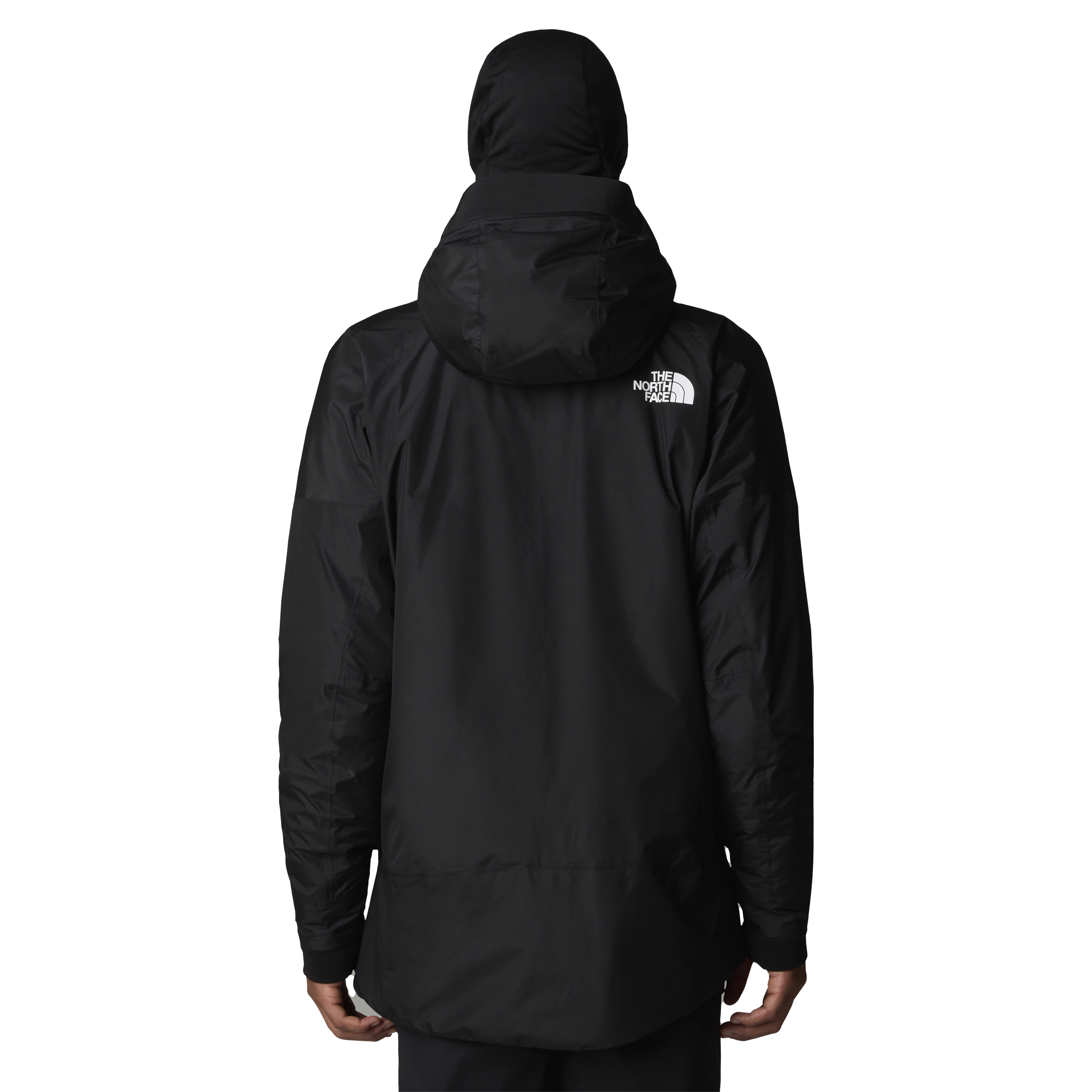 THE NORTH FACE, M Dawnstrike Gtx Insulated Jacket