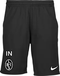323389101101 NIKE Park20 Short 323389101101 NIKE Park20 Short Standard Small1x1