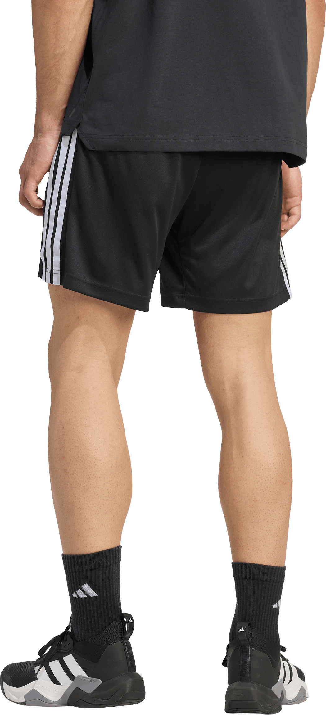 ADIDAS, WE BAS 3SPQ SH