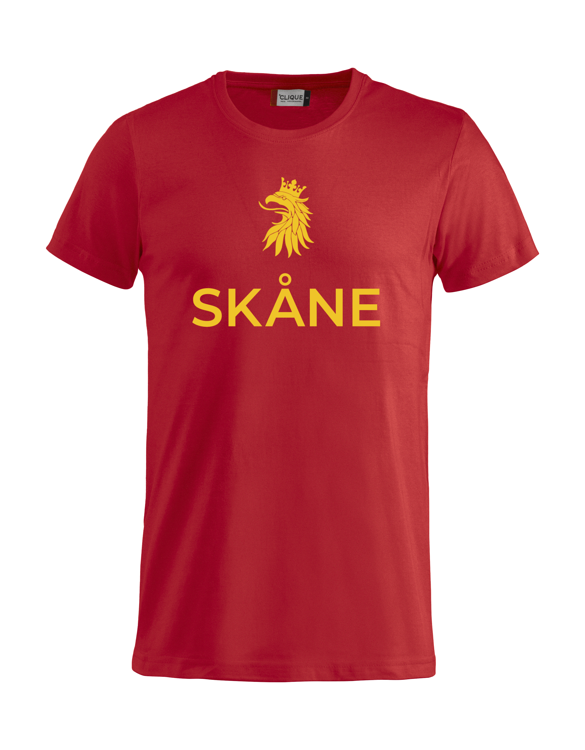 
CLIQUE, 
Basic-T, 
Detail 1
