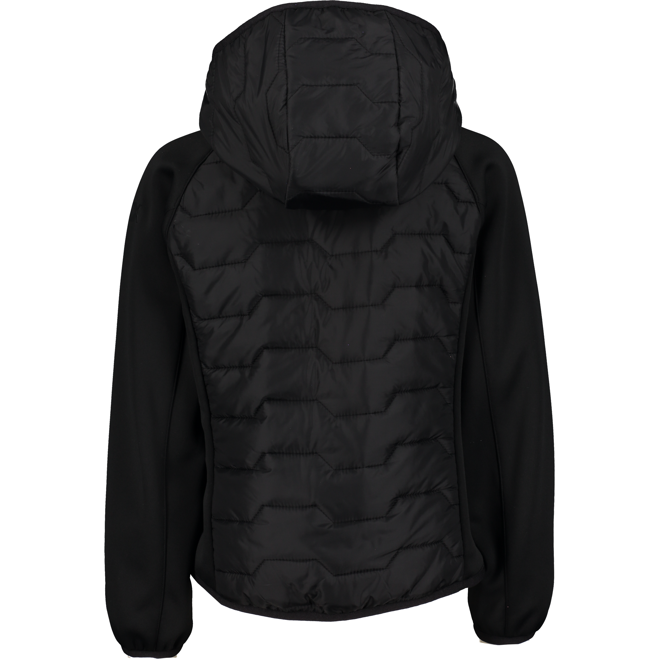 CROSS SPORTSWEAR, Hybrid Liner Jacket Jr