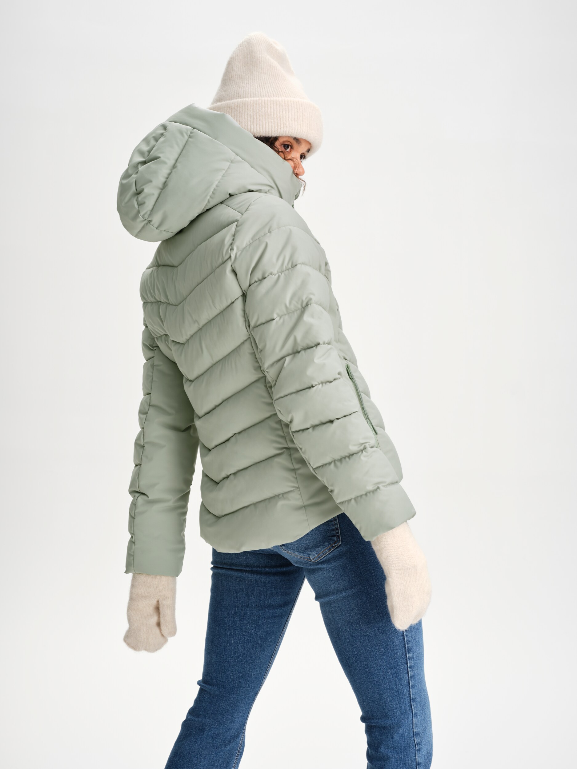 EVEREST, W Zeda Jacket