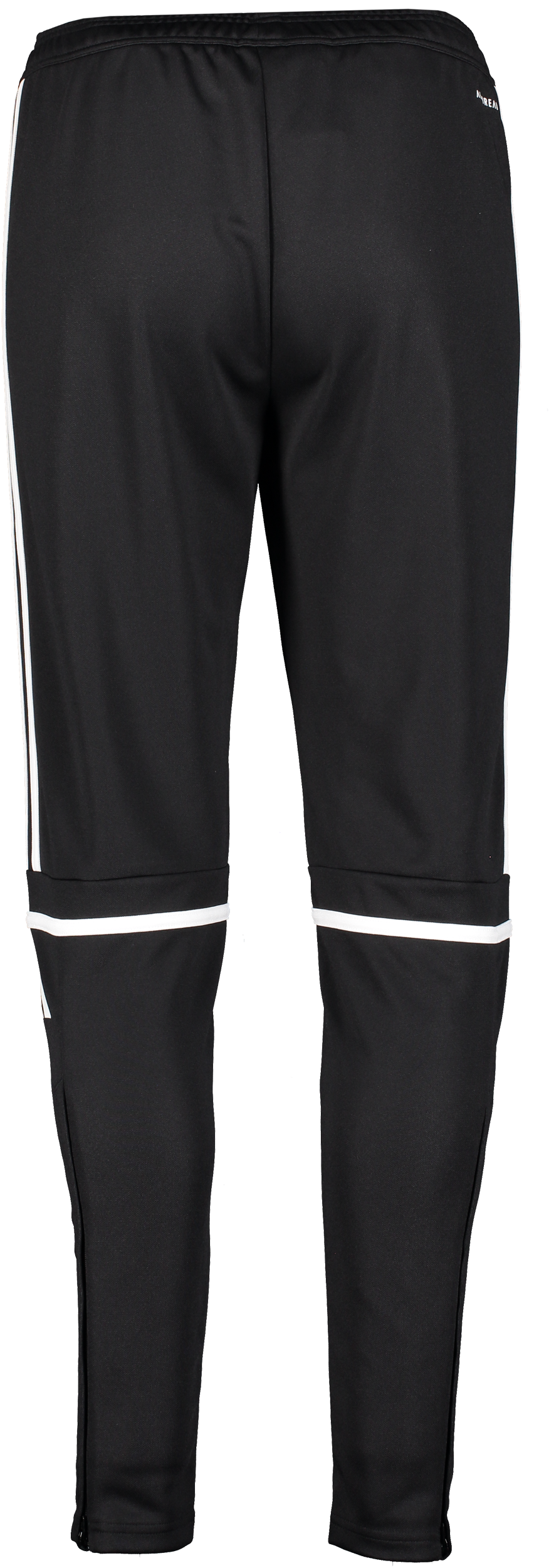 ADIDAS, Squad25 Tr Pnt W