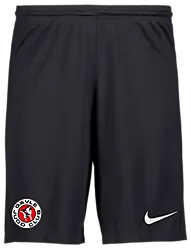 298937101101 NIKE Park III Short Jr 298937101101 NIKE Park III Short Jr Standard Small1x1