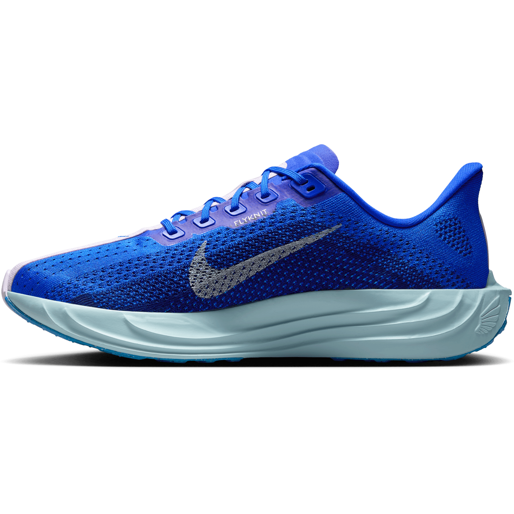 NIKE, M Pegasus Plus Prm