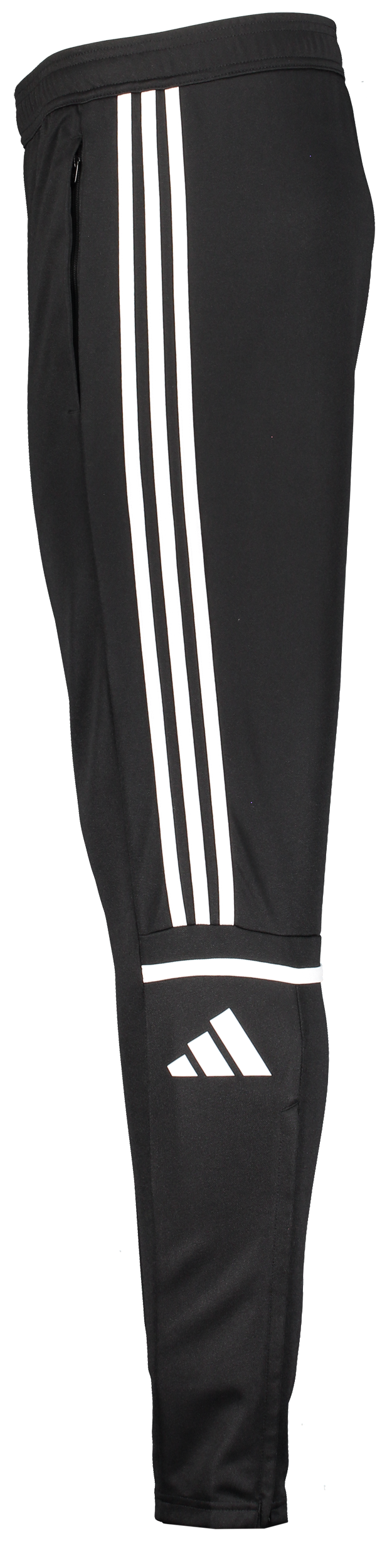 ADIDAS, Squad25 Tr Pnt Jr