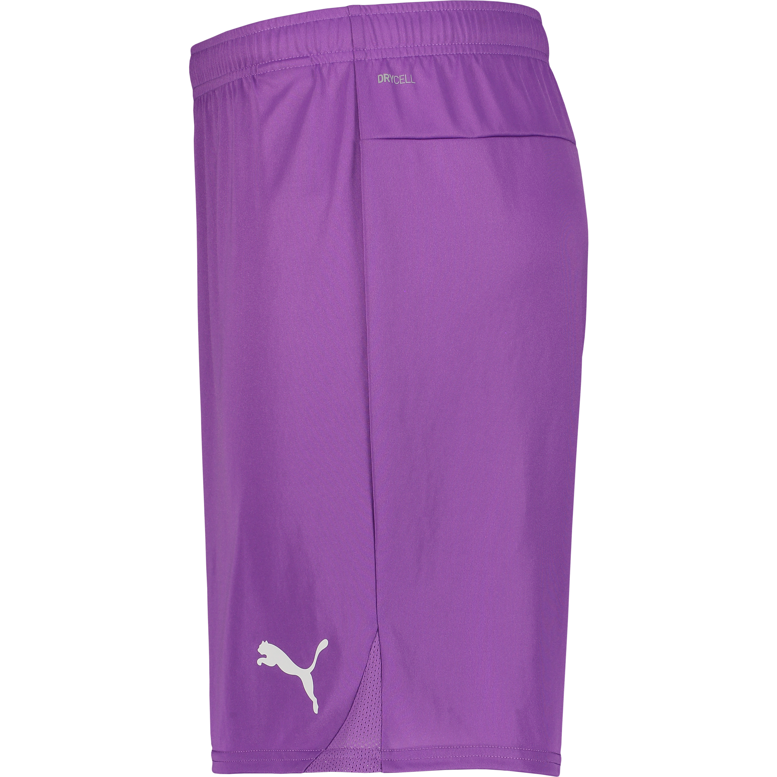 PUMA, T Goal Shorts Jr