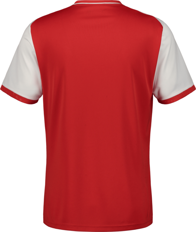 PUMA, TEAMLIGA26 MATCHDAY JERSEY JR