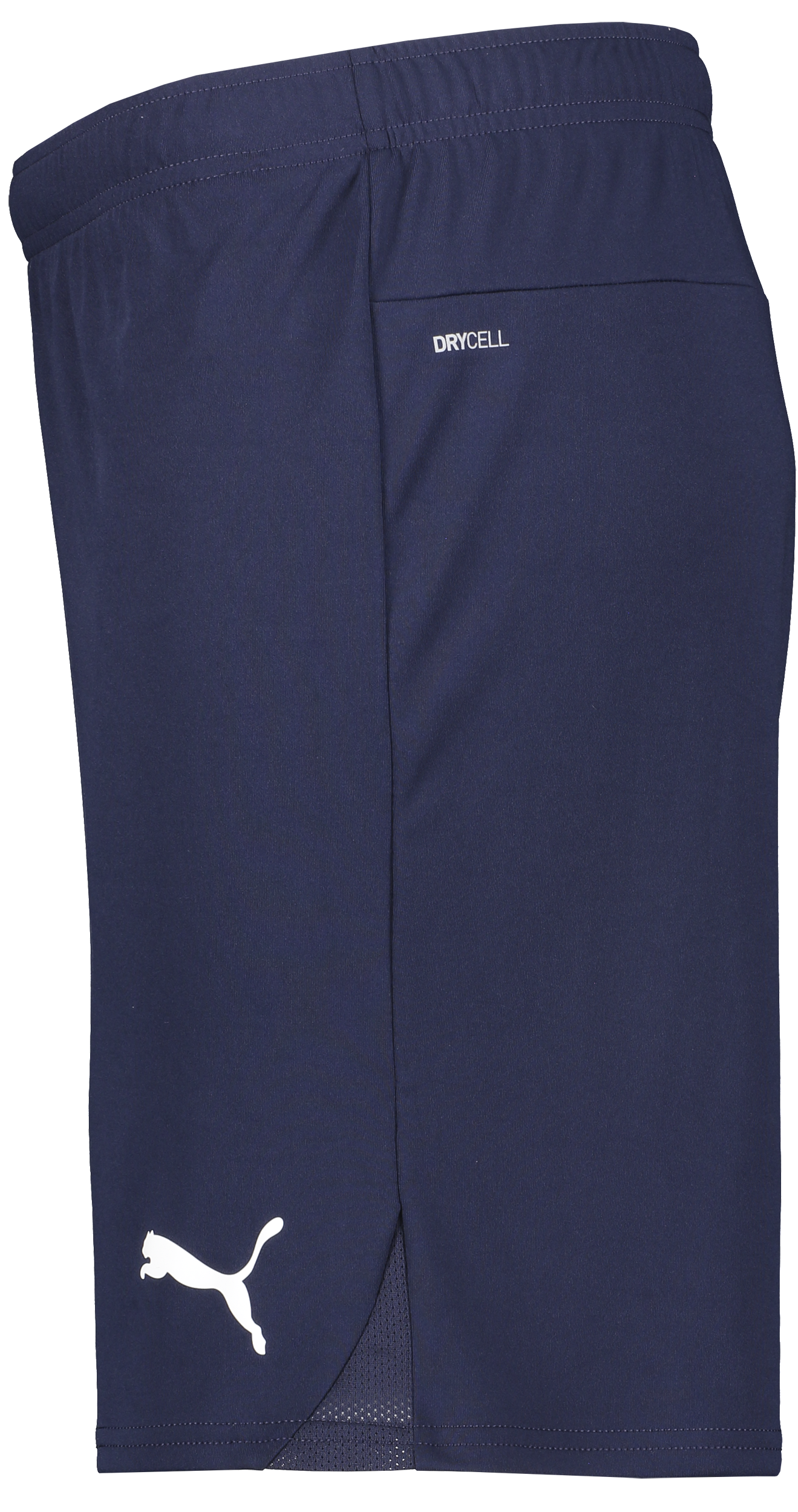 PUMA, T Goal Shorts